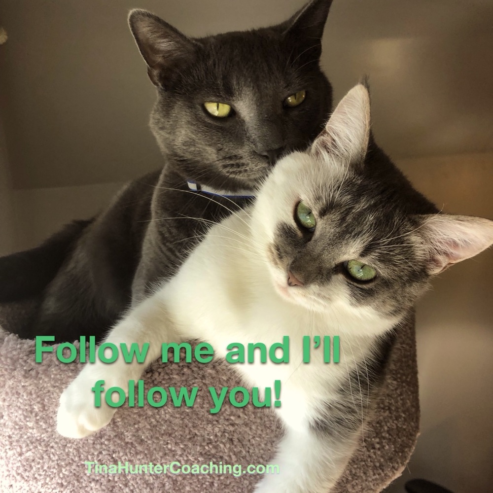 Follow!